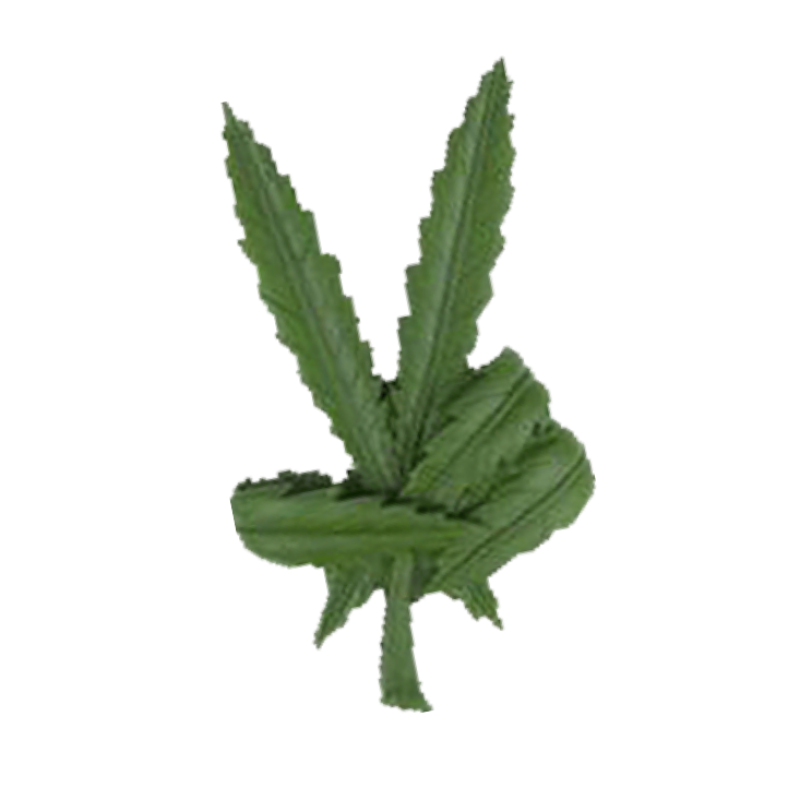 peace weed, leaf logo